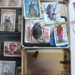 LIVRE D'ARTISTE INSECTES EN BONNE COMPAGNIE