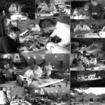 L'AVEYRON LE CAUSSE NOIR 2018 ATELIER